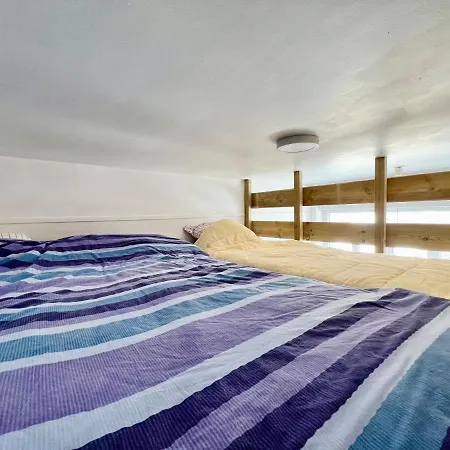 Coc - Les Mouettes * Wissant