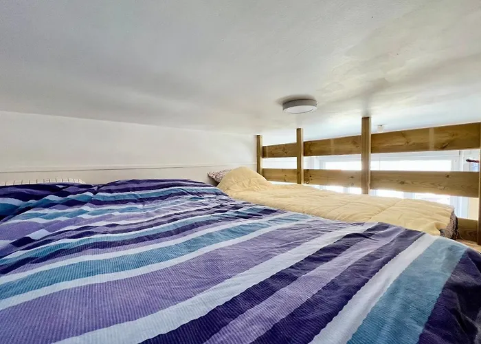 Coc - Les Mouettes * Wissant